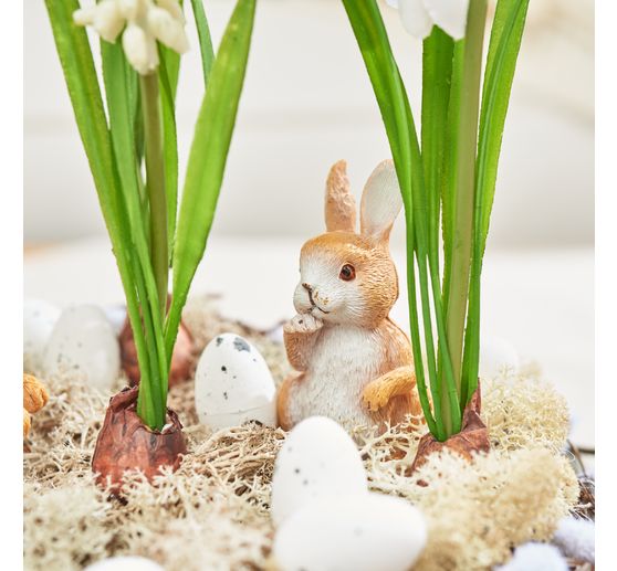 VBS Iceland moss, 100 g