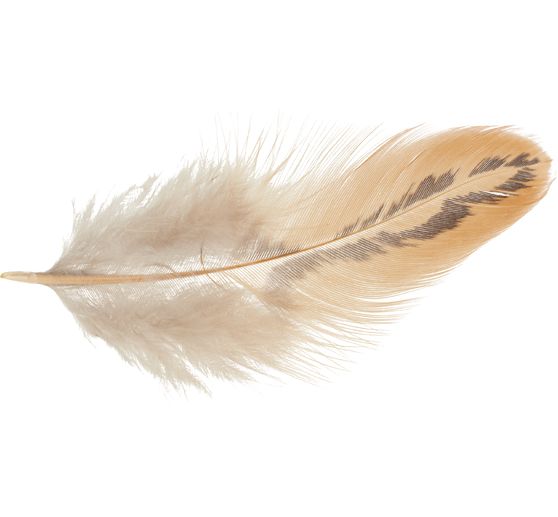 Chickens Feathers, brown, 3 g