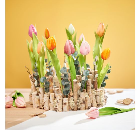 VBS Rami di betulla "Dalke", 10 pezzi