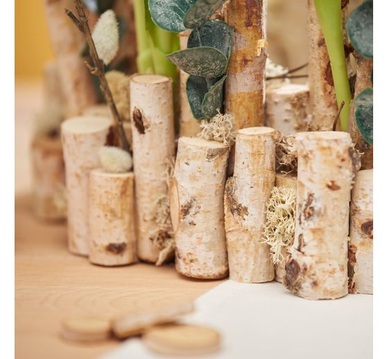 VBS Rami di betulla "Dalke", 10 pezzi