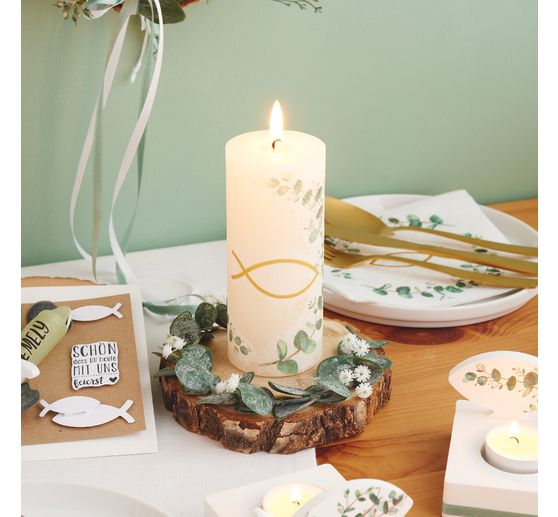 Eucalyptus branch "Evergreen"