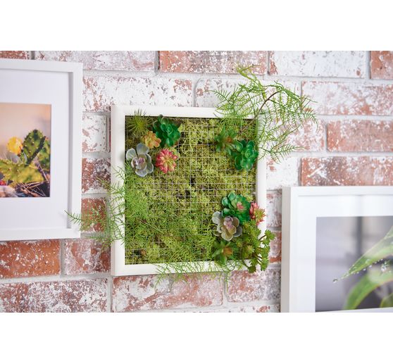 VBS Iceland moss, 100 g