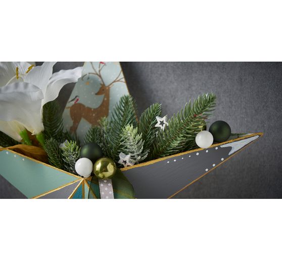 VBS Star with compartment