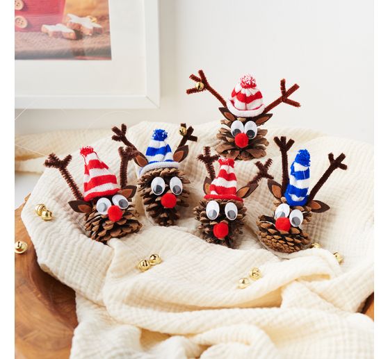 VBS Fir cones, 250 g