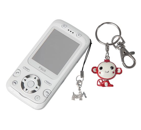 VBS Key ring with snap hook