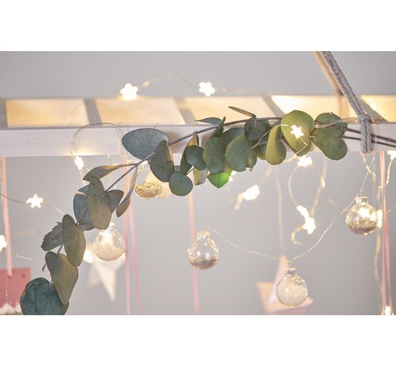 Eucalyptus Cinerea prepared