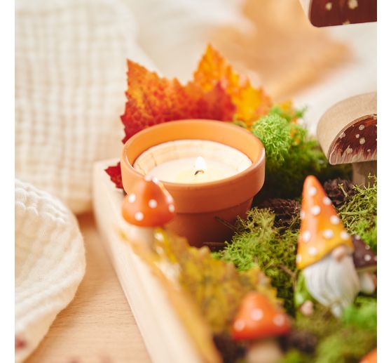 Muschio d'Islanda, 400 g