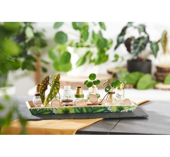 VBS Vassoio di legno