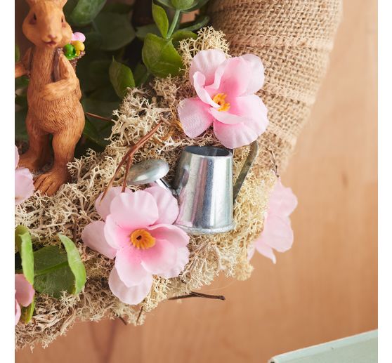 VBS Iceland moss, 100 g