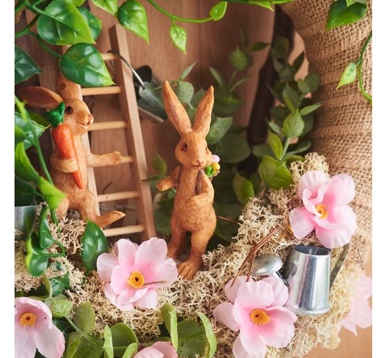 VBS Iceland moss, 100 g