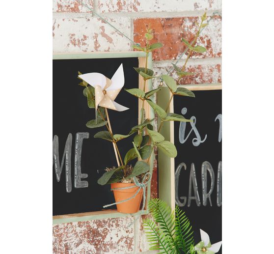 Set di vassoi VBS, set da 5