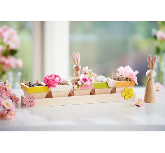 VBS Tray with 5 pots