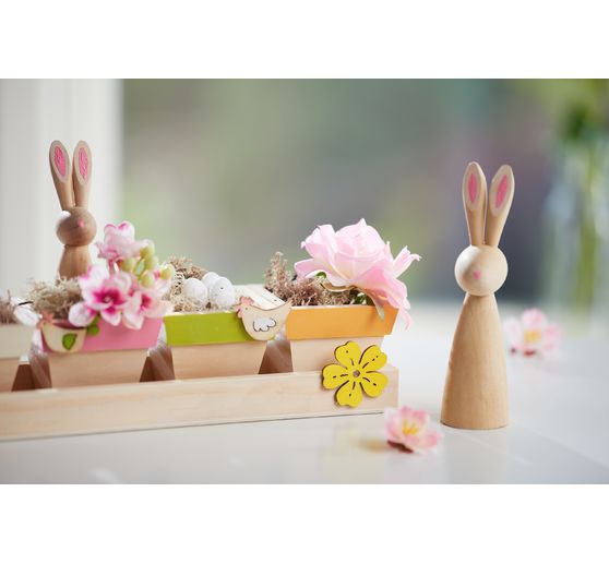 VBS Tray with 5 pots