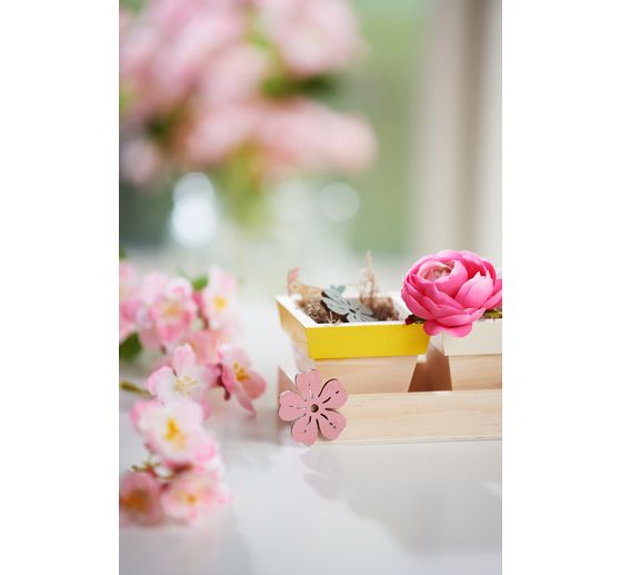 VBS Tray with 5 pots