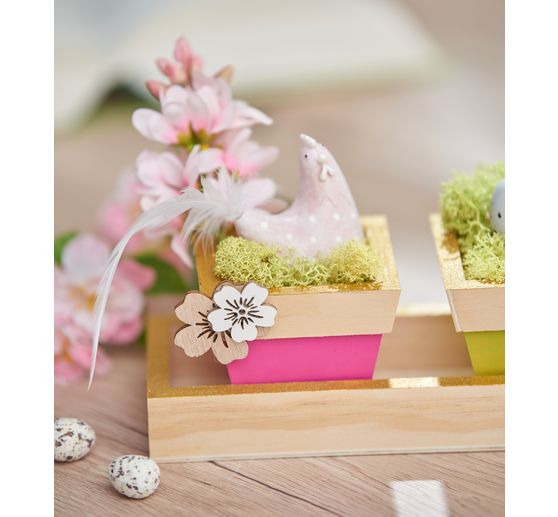 VBS Tray with 5 pots