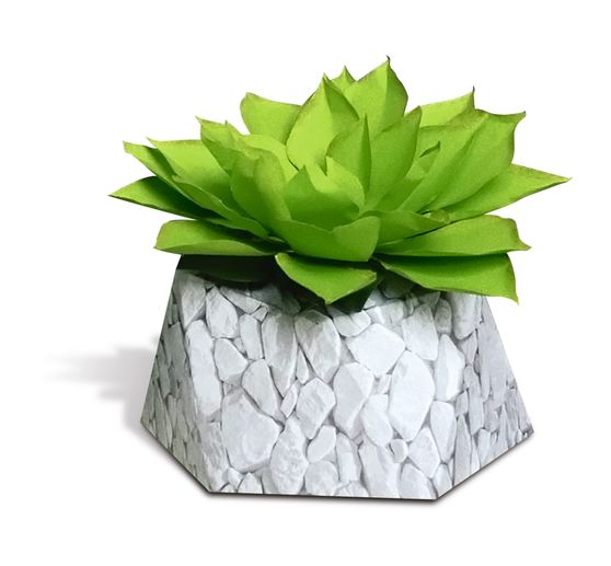 Cartoncino fotografico con motivi "Bianco pietra".