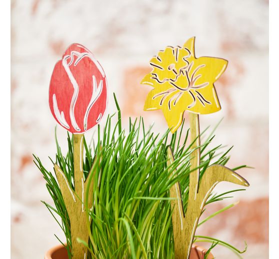 KREUL Wood stain "Basic Set", 6 colours à 20 ml