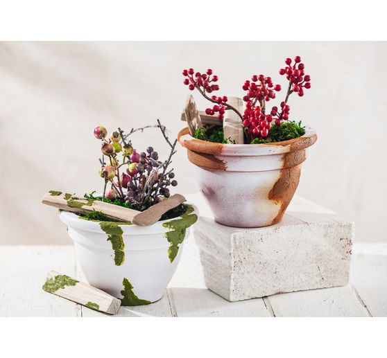 Colore muschio facile, 200 ml