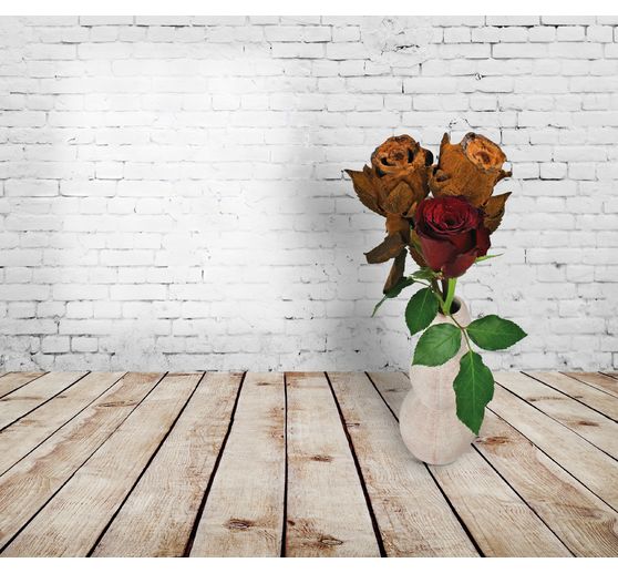 Set di griglie per immersione