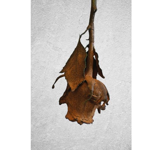 Set di griglie per immersione