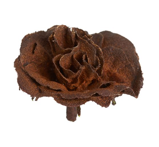 Set di griglie per immersione