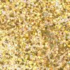 Glitter Flaky Glue Gold, Rainbow