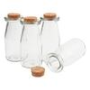 VBS glass bottle with cork