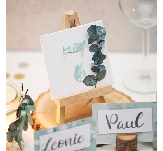 Motif cardboard "Eucalyptus