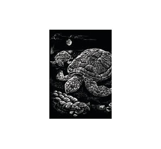 Mega set Avventura d'arte