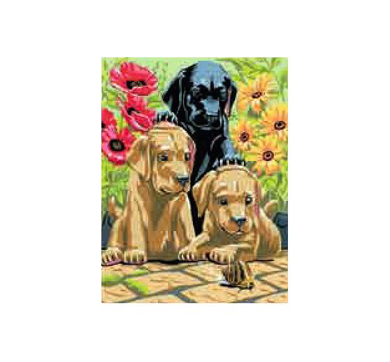 Mega set Avventura d'arte