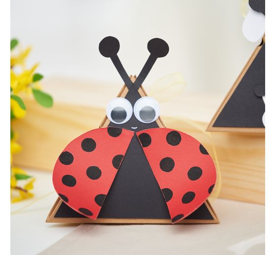 Organza ribbon, 10 mm