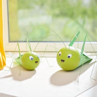 Cavalletta realizzata con palline di polistirolo