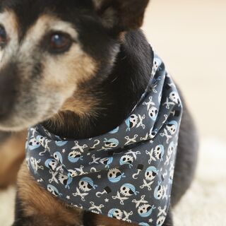 Cucire una sciarpa per cani