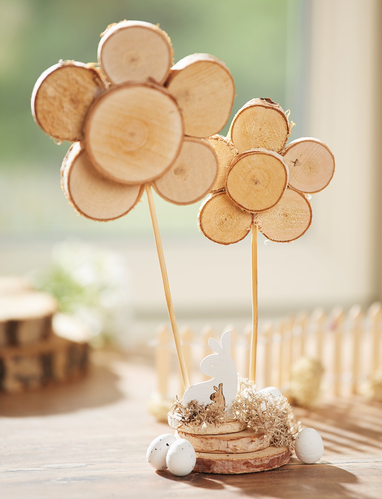 Rindenscheibenblumen